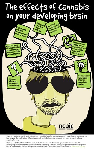 young minds infographic_v2.jpg