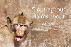 5 outrageous claims about weed