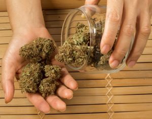 Lucy Haslam on medicinal cannabis