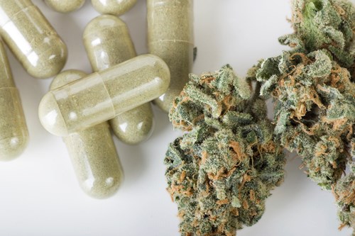 Medicinal cannabis: pharmaceutical vs herbal