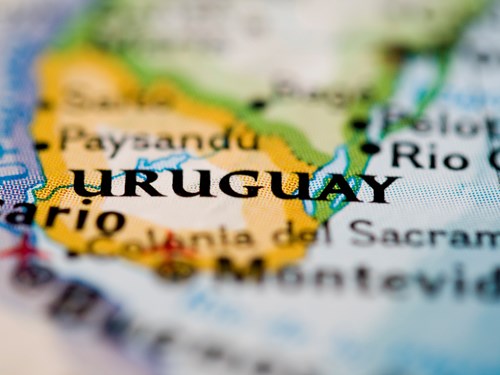 Cannabis in Uruguay