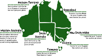 australian cannabis laws infographic thumbnail size